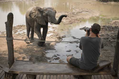 Kanga Camp - Mana Pools